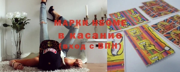 хмурый Бородино