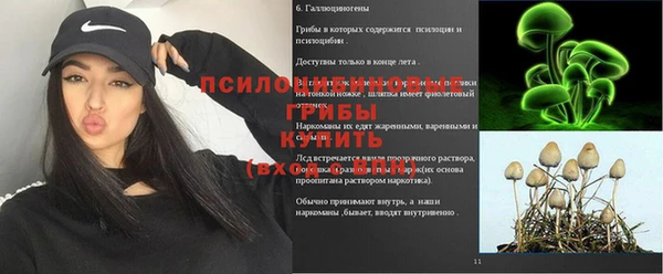 сатива Бугульма