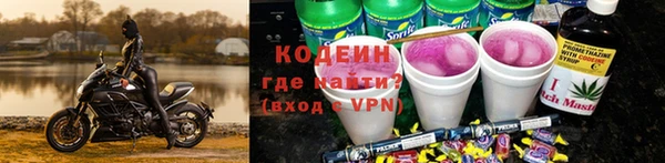 хмурый Бородино