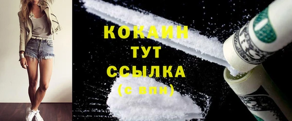 хмурый Бородино