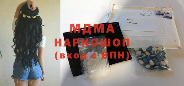 хмурый Бородино
