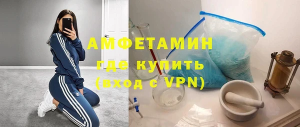 хмурый Бородино