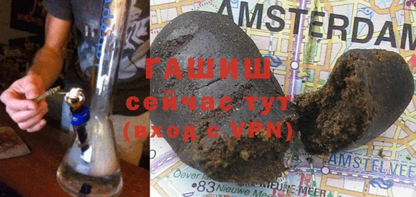 хмурый Бородино