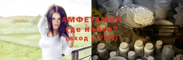 хмурый Бородино