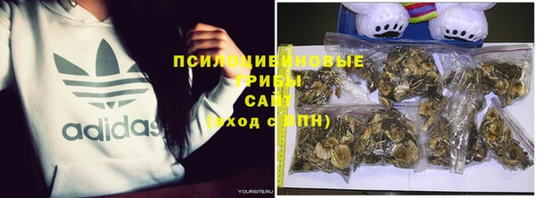 мескалин Бронницы