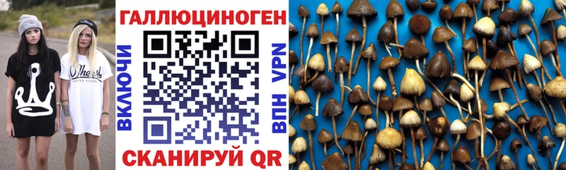 shop как зайти  хочу   Людиново  Псилоцибиновые грибы Magic Shrooms 